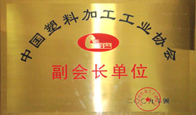 2009 Vice President of the China Plastics